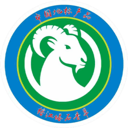 党相村队徽